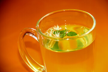 Lime tea with lime flowers on a bright orange background.