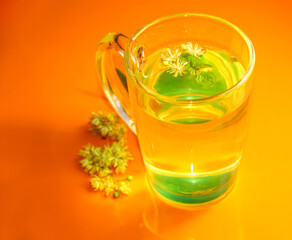 Lime tea with lime flowers on a bright orange background.