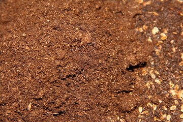 The texture of the topsoil. The ground for planting seeds.