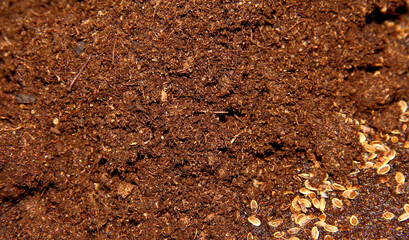 The texture of the topsoil. The ground for planting seeds.