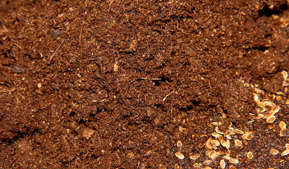 The texture of the topsoil. The ground for planting seeds.