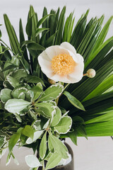 Flowers bouquet for a wedding birthday or other celebration. One large flower with white petals and yellow center. Eucalyptus leaves different species as a greenery. Festive stylish bouquet.