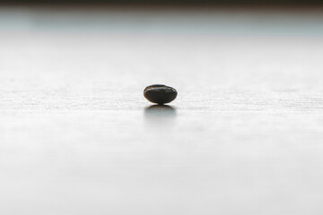 Fototapeta na wymiar Outstanding solo roasted coffee bean isolated on the bright surface and gradient background