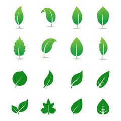 Abstract leaf icon set isolated on white background. Collection of leaf icons for symbol, logo, sign, label and app. Creative art concept. Vector illustration, flat leaves