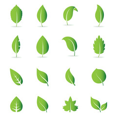 Abstract leaf icon set isolated on white background. Collection of leaf icons for symbol, logo, sign, label and app. Creative art concept. Vector illustration, flat leaves