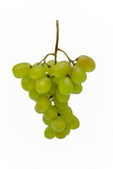 a branch of green grapes with drops vertically on a white background