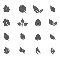 Abstract leaf icon set isolated on white background. Collection of leaf icons for symbol, logo, sign, label and app. Creative art concept. Vector illustration, flat leaves