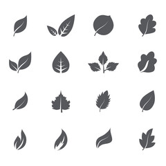 Abstract leaf icon set isolated on white background. Collection of leaf icons for symbol, logo, sign, label and app. Creative art concept. Vector illustration, flat leaves
