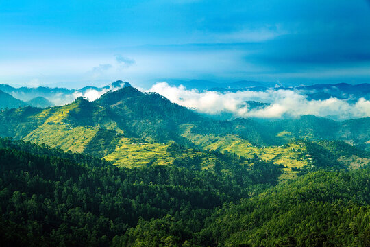 Beautiful view of green himalaya range, near Chaukori, Uttarakhand, India.