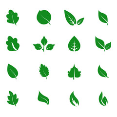 Fototapeta na wymiar Abstract leaf icon set isolated on white background. Collection of leaf icons for symbol, logo, sign, label and app. Creative art concept. Vector illustration, flat leaves