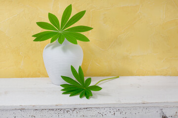 Green Leaf And Vase Still Life