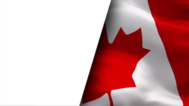 Canadian flag video waving in wind half white background for text.Realistic Canadian Toronto Flag background. Canada Flag Looping Closeup footage.Canada North America country flags video for film,news