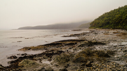 Misty ocean and tree landscape on a rainy day at Cape Froward on the Magellan Strait near Punta...