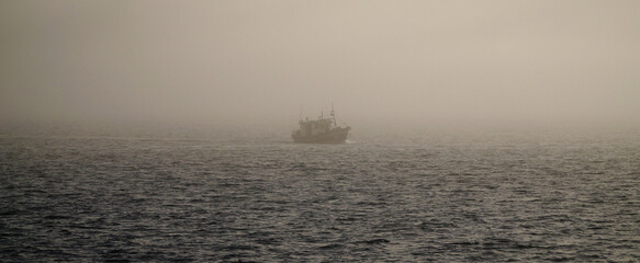 Misty ocean and tree landscape on a rainy day at Cape Froward on the Magellan Strait near Punta Arenas in Chile's Patagonia region.