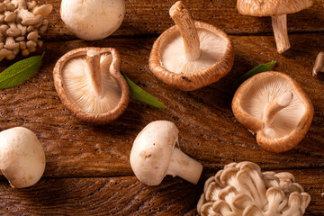 Various types of mushrooms on a wooden table