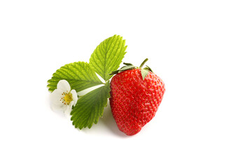 Strawberries isolated over white background
