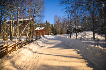 Tourists are walking down the Scenic pine tree surrounded road. Beautiful winter landscape with clear blue sky over snowy ground and green leaves.