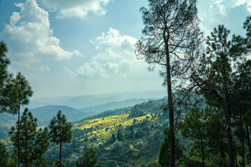 Obraz premium Highland agricultural fields of wheat in the Himalayas, Uttarakhand, India.