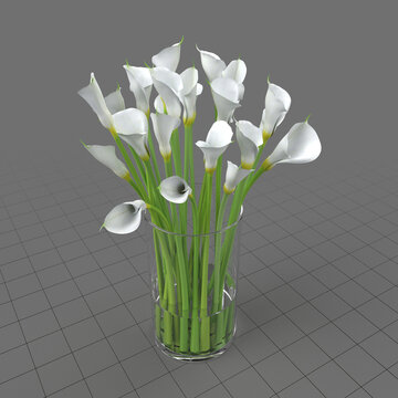 Calla lilies in glass vase 3