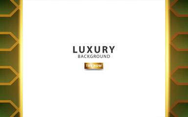 luxury abstract premium green and white vector background banner with gold line .Overlap layers with paper effect. Realistic light effect on geometric textured pattern.