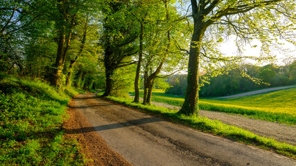 Obraz premium The rolling hills of West Sussex and the South Downs near the Mardens, UK