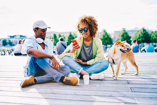 Cheerful afro american friends resting outdoors with pet sharing photos in networks via mobile, dark-skinned girl with curly hair blogging via smartphone sitting with boyfriend and cute puppy