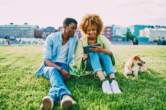 Afro american couple spending free time together on weekend searching cafe for visit with puppy via application on tablet,dark-skinned friends resting with dog sing high speed internet for blogging
