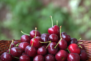 
cherries , fresh, colorful, crunchy, delicious