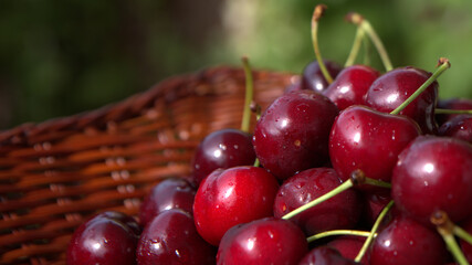
cherries , fresh, colorful, crunchy, delicious