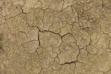 Risse im Boden durch Trockenheit und Dürre