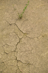 Risse im Boden durch Trockenheit und Dürre
