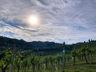 vineyard dramatic cloudy sky weather