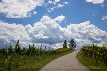 vineyard dramatic cloudy sky weather