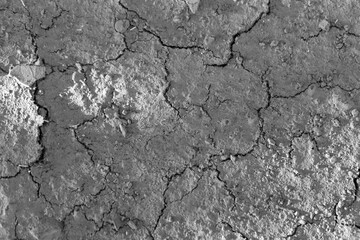 Cracked earth. Black and white