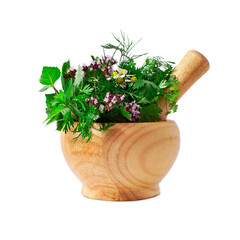 Mortar with fresh herbs isolated on a white background.