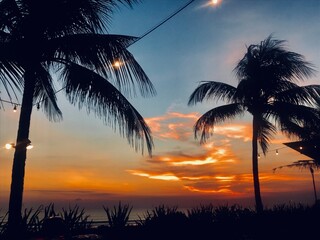 Obraz premium palm trees at sunset