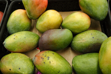 lots of ripe green and yellow mangoes in a black plastic box in the supermarket . tropical fruit