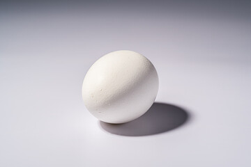 Close up photograph of a single white egg isolated against a white background