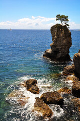 Mediterranean Sea and lonely tree on the stone