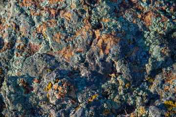 Closeup texture of wild stone with moss. Abstract background in orange turquoise colors