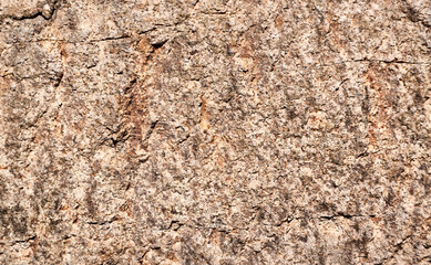 Rustic stone background. Front view. Close up. 