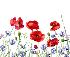 Fototapeta premium Watercolor background of scarlet poppies and cornflowers. .For congratulations, invitations, weddings, birthday, anniversary 