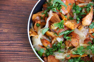 Fried chanterelles (roosters) with onions and fresh herbs on a wooden background, close-up view large to the right of the center, Selva can be placed text.