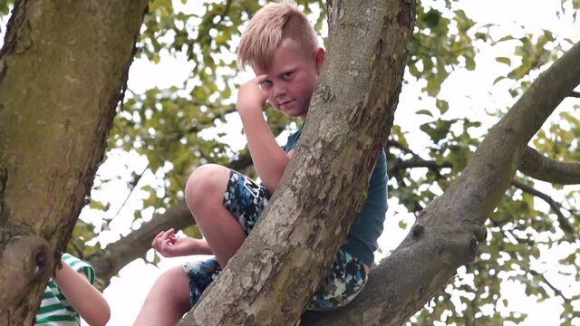 A boy sits on a tree during leisure time on vacation. Shows a gesture watching you. The use of signs in communication scouts.