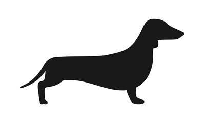 Silhouette of a Dachshund dog. Vector stock icon isolated on a white background.