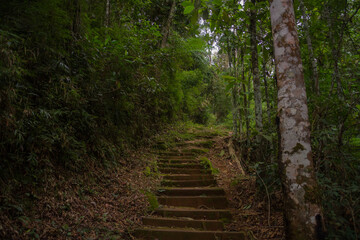 Hiking trail in national park