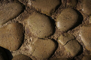 wet stone for background texture