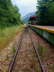 Old railway station with vegetation