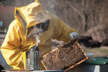 Beekeeper with his bees