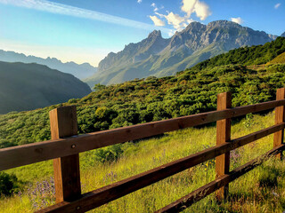Fototapeta na wymiar Impressive mountain range and fence with long grass bush